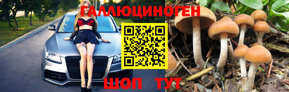 Галлюциногенные грибы Psilocybe  где продают   Лянтор  Вход с VPN 